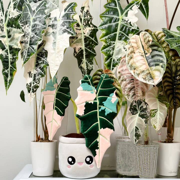 Blushiez - Wholesale Artificial plant - Variegated Alocasia Amazonica Plushie1
