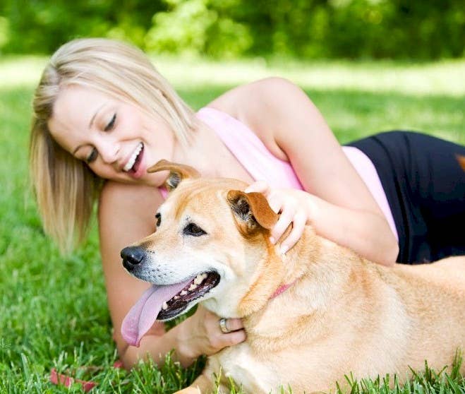 Aroma Paws – Großhandel Haustierspray – Hund – 4.5 Unzen Repellent Spra4