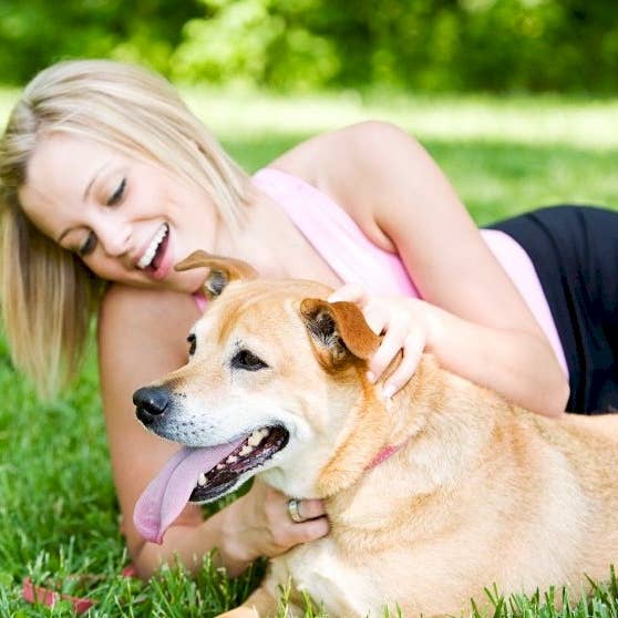 Aroma Paws – Großhandel Haustierspray – Hund – 4.5 Unzen Repellent Spra4