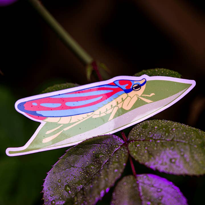 Candy Striped Leafhopper Sticker for wholesale by The Roving House