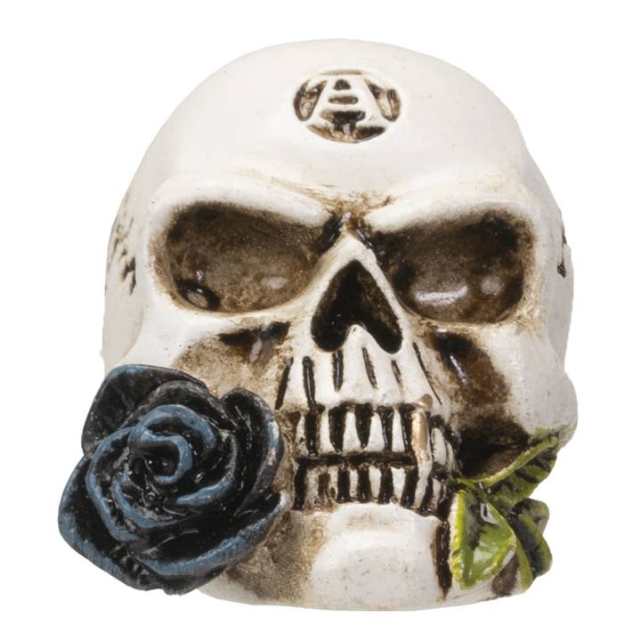 Pacific Trading - Wholesale Decorative Figurine - Alchemy Skull Mini1