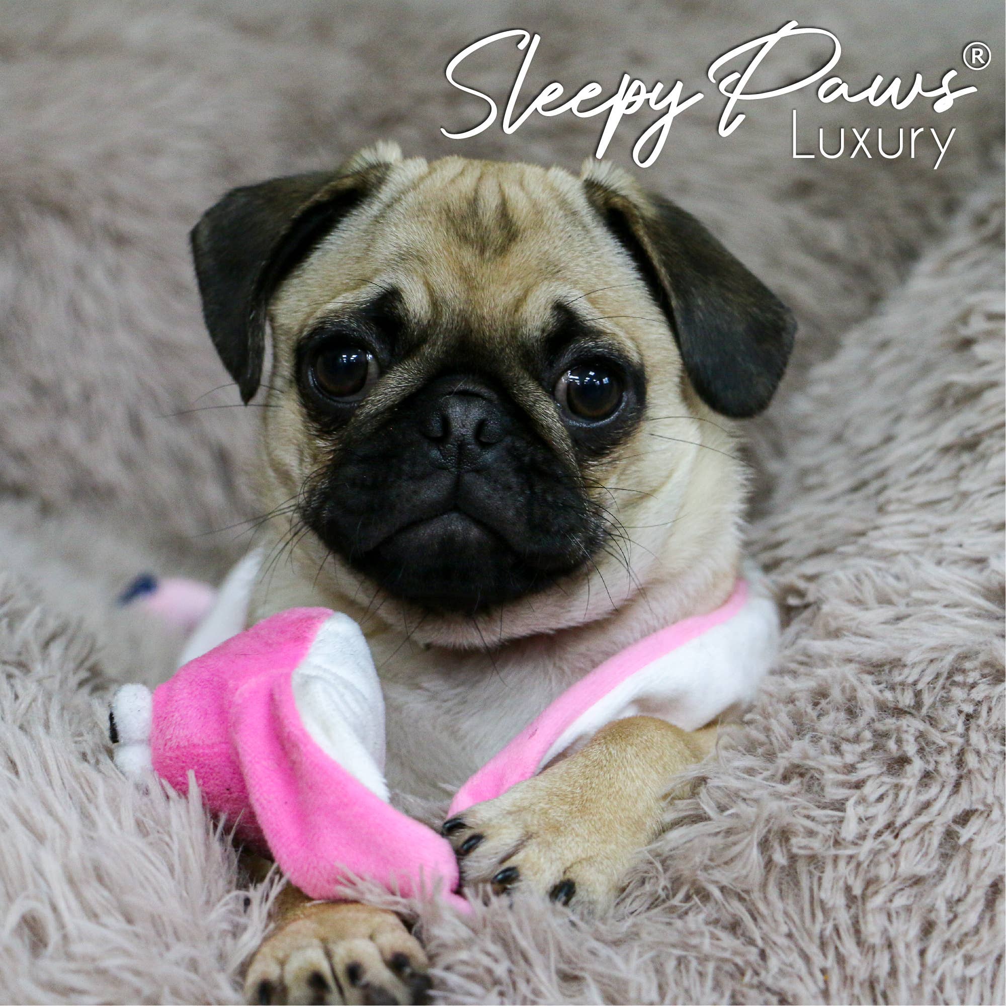 Ancol Pet Products Ltd - Wholesale Pet Bed - Dog - Super Soft Plush Donut Dog Bed Oatmeal2