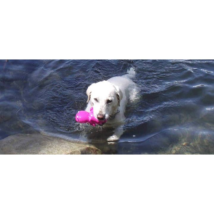 Cycle Dog - Wholesale Pet Squeaky Toy - Dog - 3-Play Hippo Dog Toy