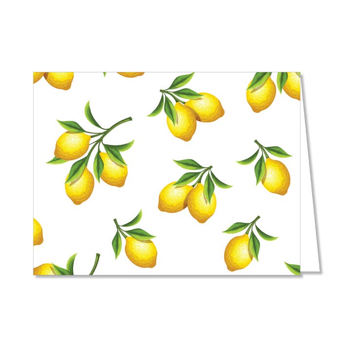 LEMONS + LEMONS CARTÕES DOBRÁVEIS | STOCK DE ESTÚDIO por atacado de B. ROWE & CO.