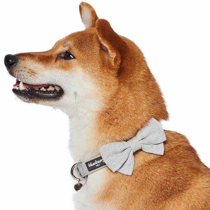 Blueberry Pet - Wholesale Pet Collar - Dog - Textured Tweed Dog Collar
