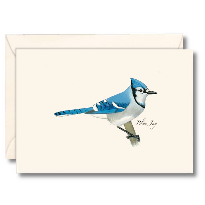 Blue Jay Assorted Notecard Set, 8 Cards for wholesale by Earth Sky + Water
