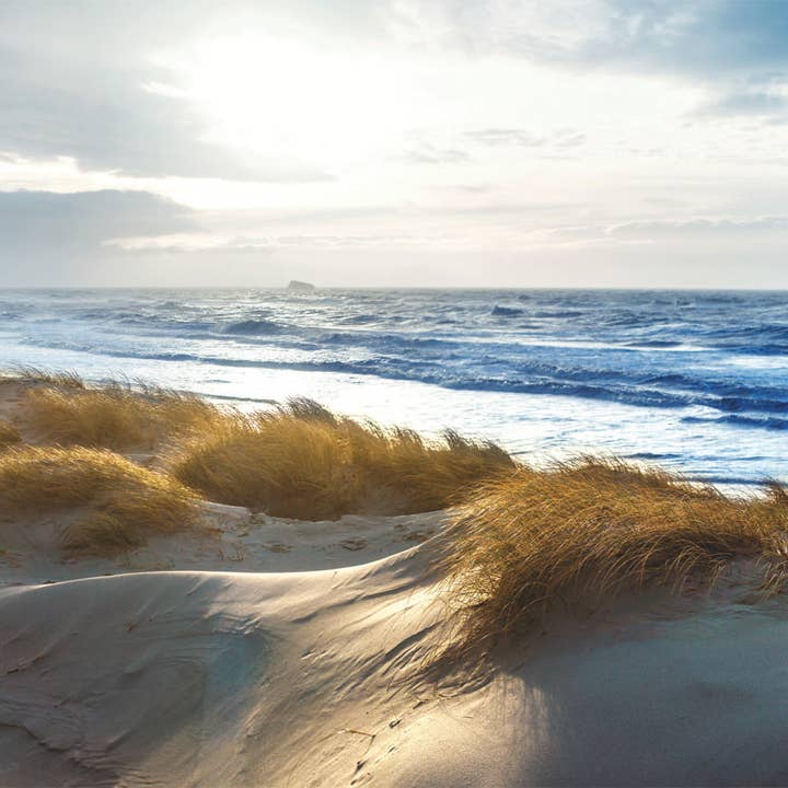 stretcher for wholesale by Bönninghoff