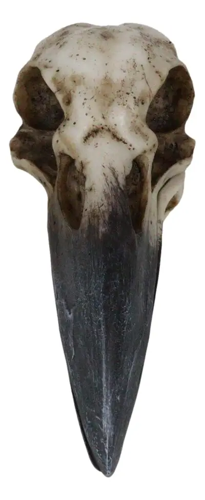 Pacific Trading – wholesale Decorative box – Raven Skull Box5