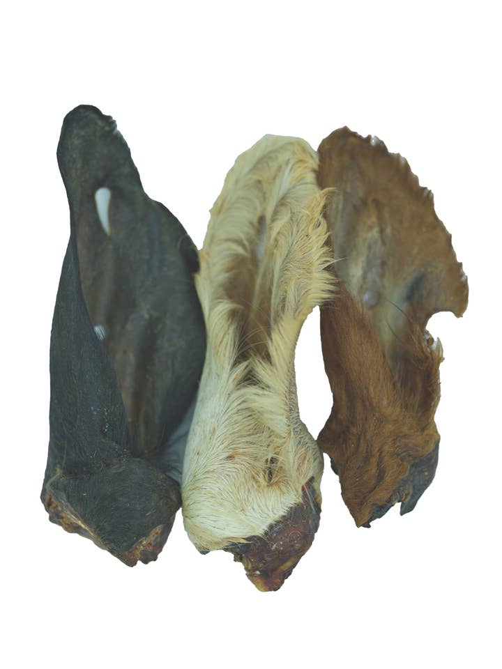 Natural Cow Ear with HAIR Bulk for wholesale by Scoochie Pet Products