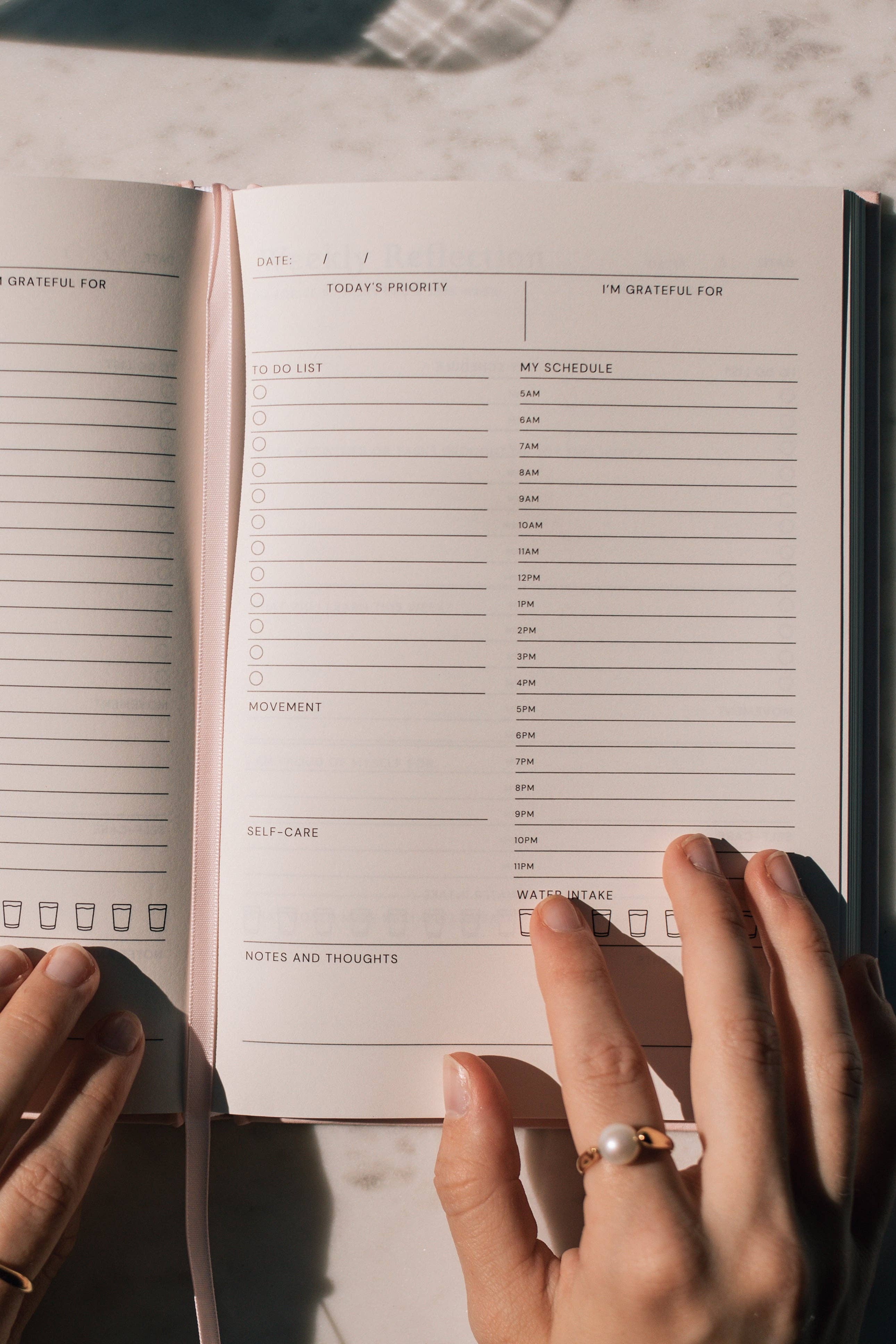 Strawberry Goose - Wholesale Planner - Wellness Planner10