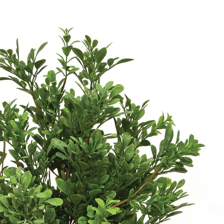 Saybrook Lane - Wholesale Artificial Plant - Heritage Boxwood Bush, 19"1
