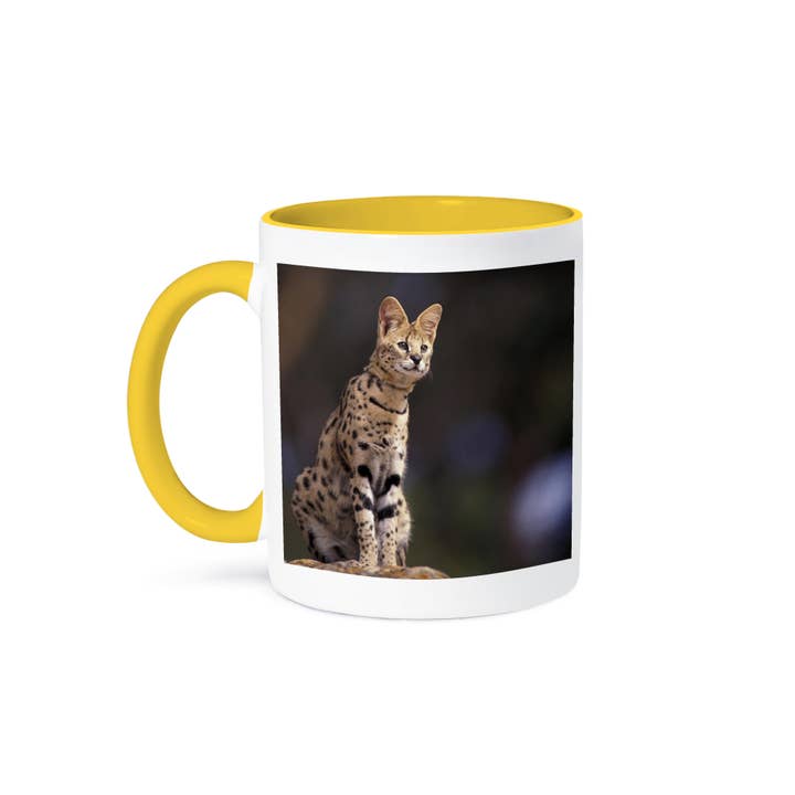 3dRose - Wholesale Coffee Mug - 3dRose, Africa. Serval (Felis serval), wildlife - NA02 SWE0036 - Stuart Westmorland, Mug