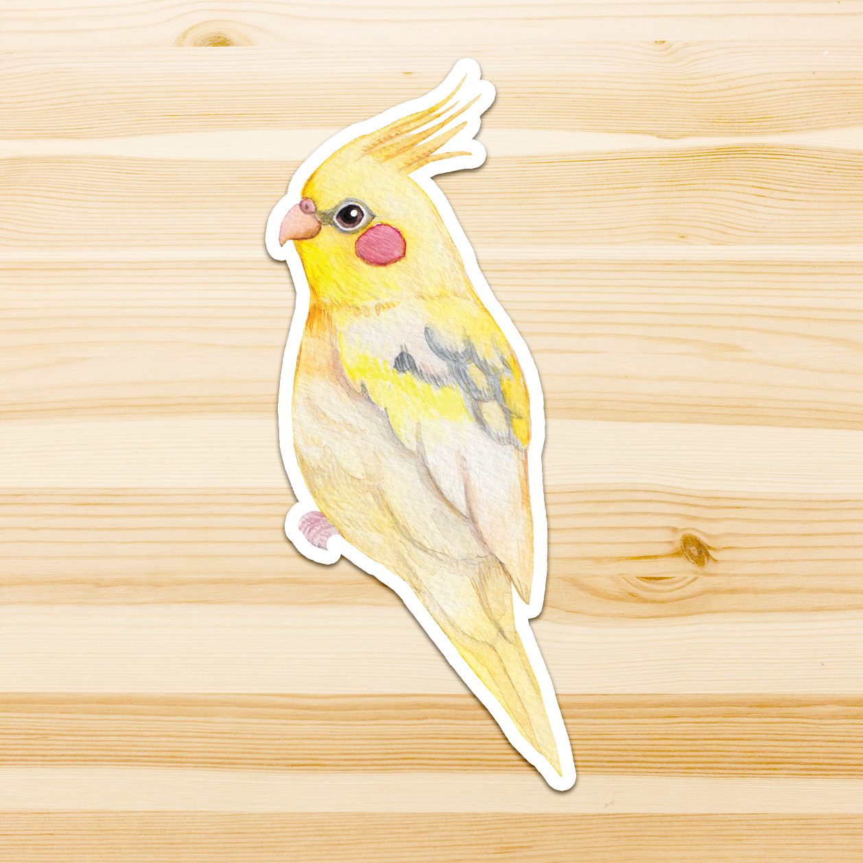 Watercolour By Cat - Vendita all'ingrosso Adesivo - Adesivo in vinile con grande uccello australiano26