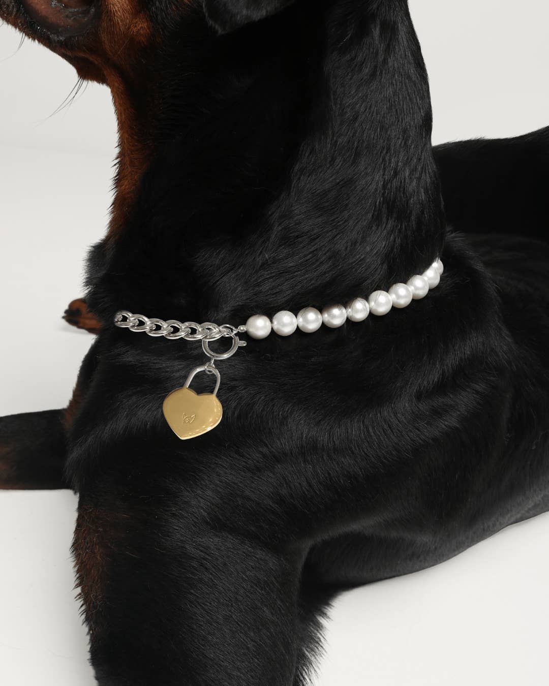 FURRY MUSE - Wholesale Pet collar – Cat/dog - The Lola Necklace