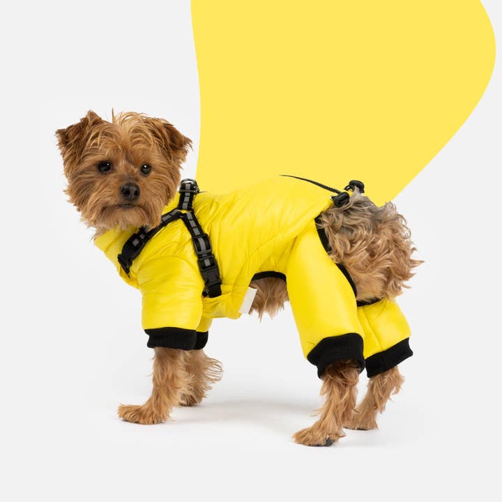 Whistler Full Body Dog Snowsuit - Yellow for wholesale by Silver Paw