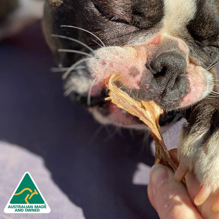 Rover Pet Products - Wholesale Pet treats – Dog - I FIS#*D UP - Lean Fish Jerky2