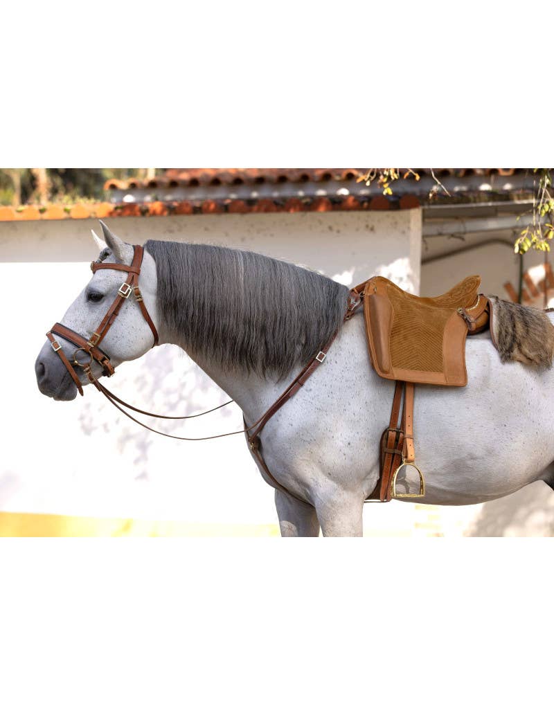 VMCS Selaria Europe - Wholesale Horseback Riding Gear - Selim Relvas Cls7