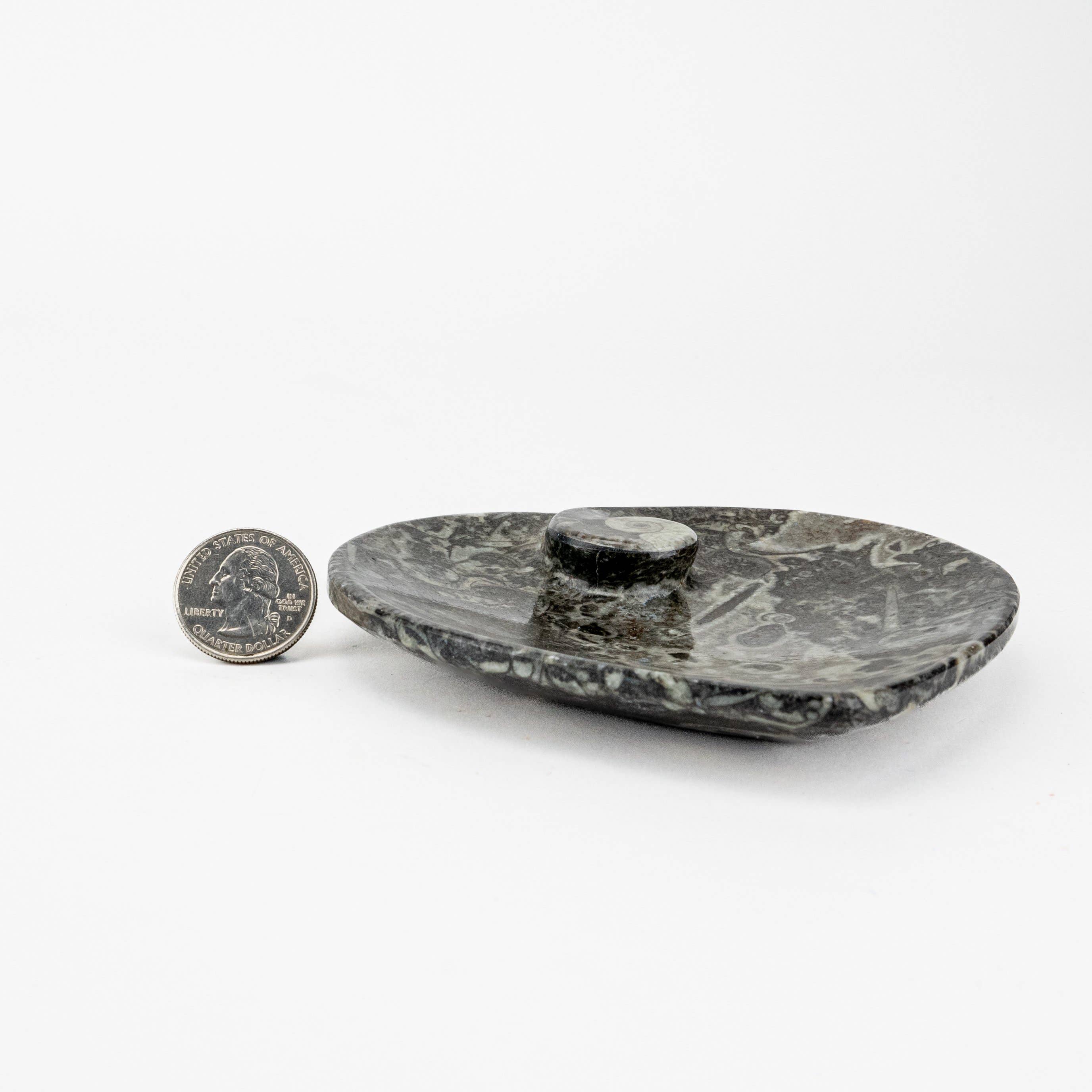 Pelham Grayson Rose – wholesale Dekorativ tallrik/fat/skål – Fossil Hjärtfat med Ammonit på sidan 100 mm Svart5