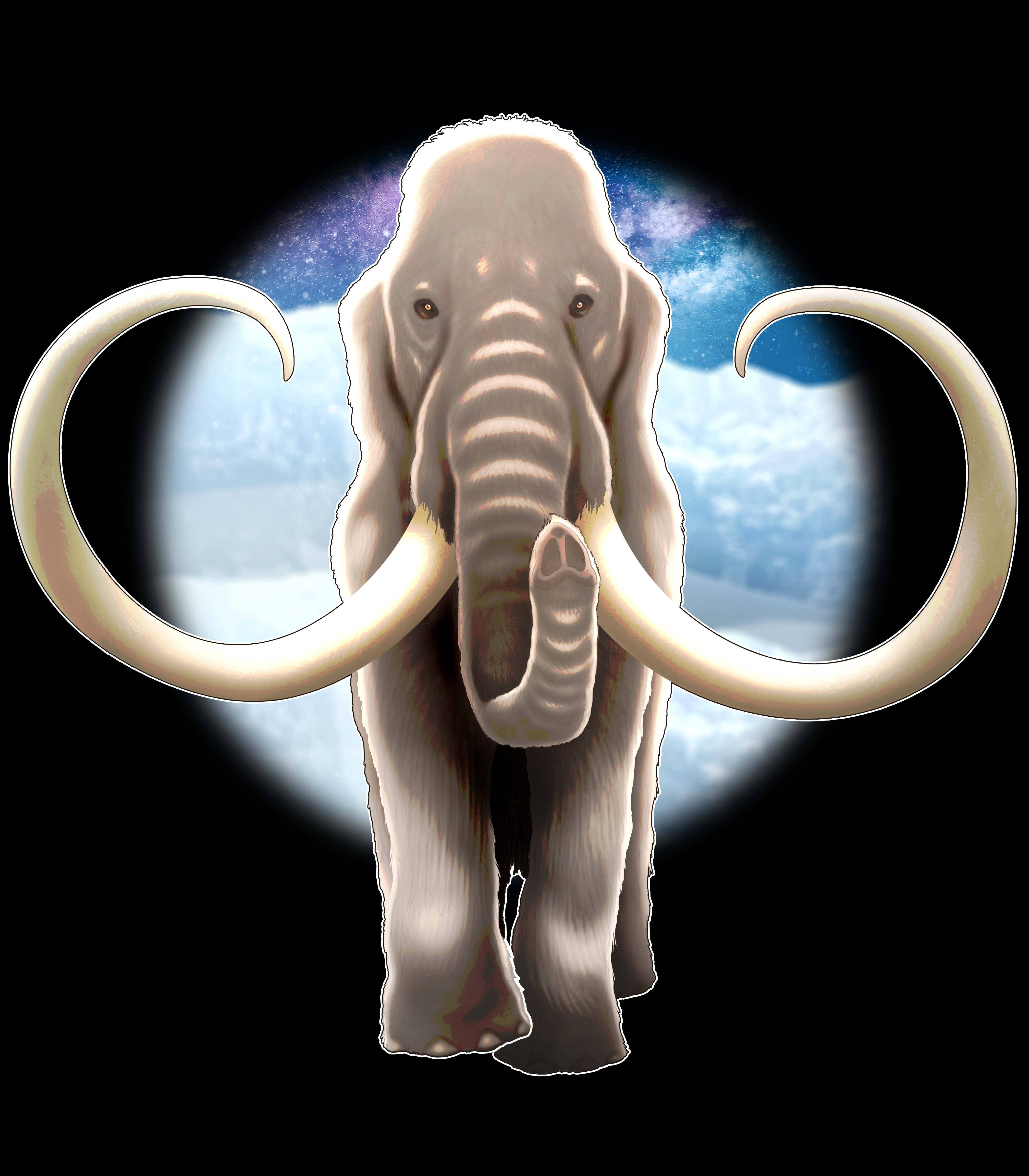 Rextooth Studios - Wholesale T-Shirt - Kids - Mammoth Tee Shirt - Youth0