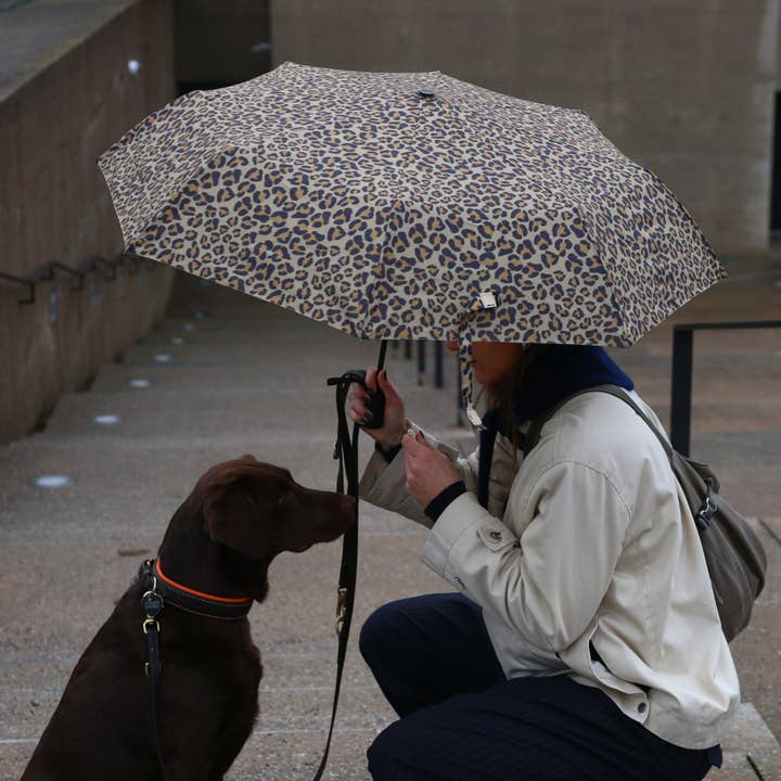 Ombrello Facile Leo per la vendita all'ingrosso da parte di CEDON