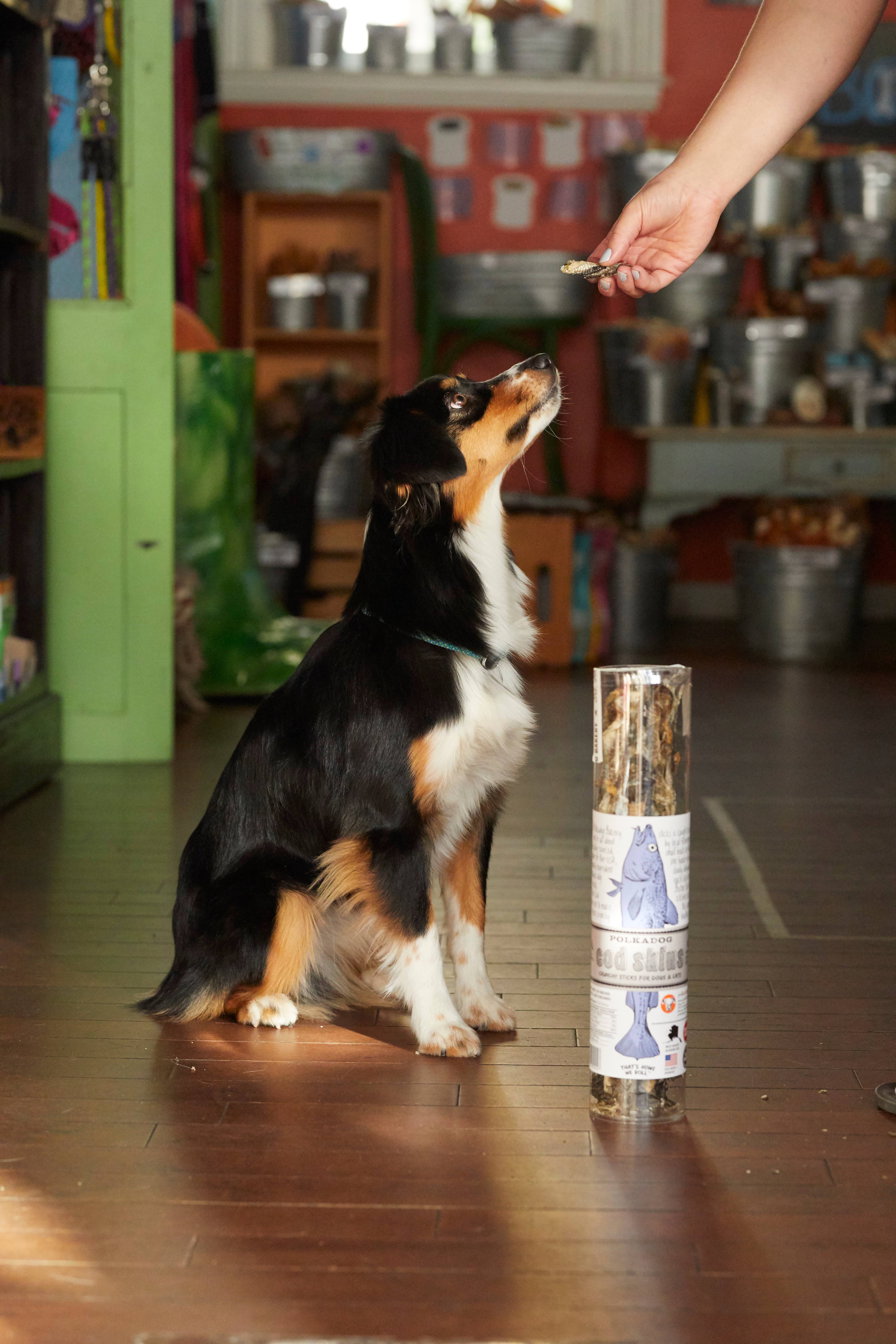 Polkadog - Wholesale Pet Treats - Dog - Cod Skins - 2.5oz Tube - Dog Treats5