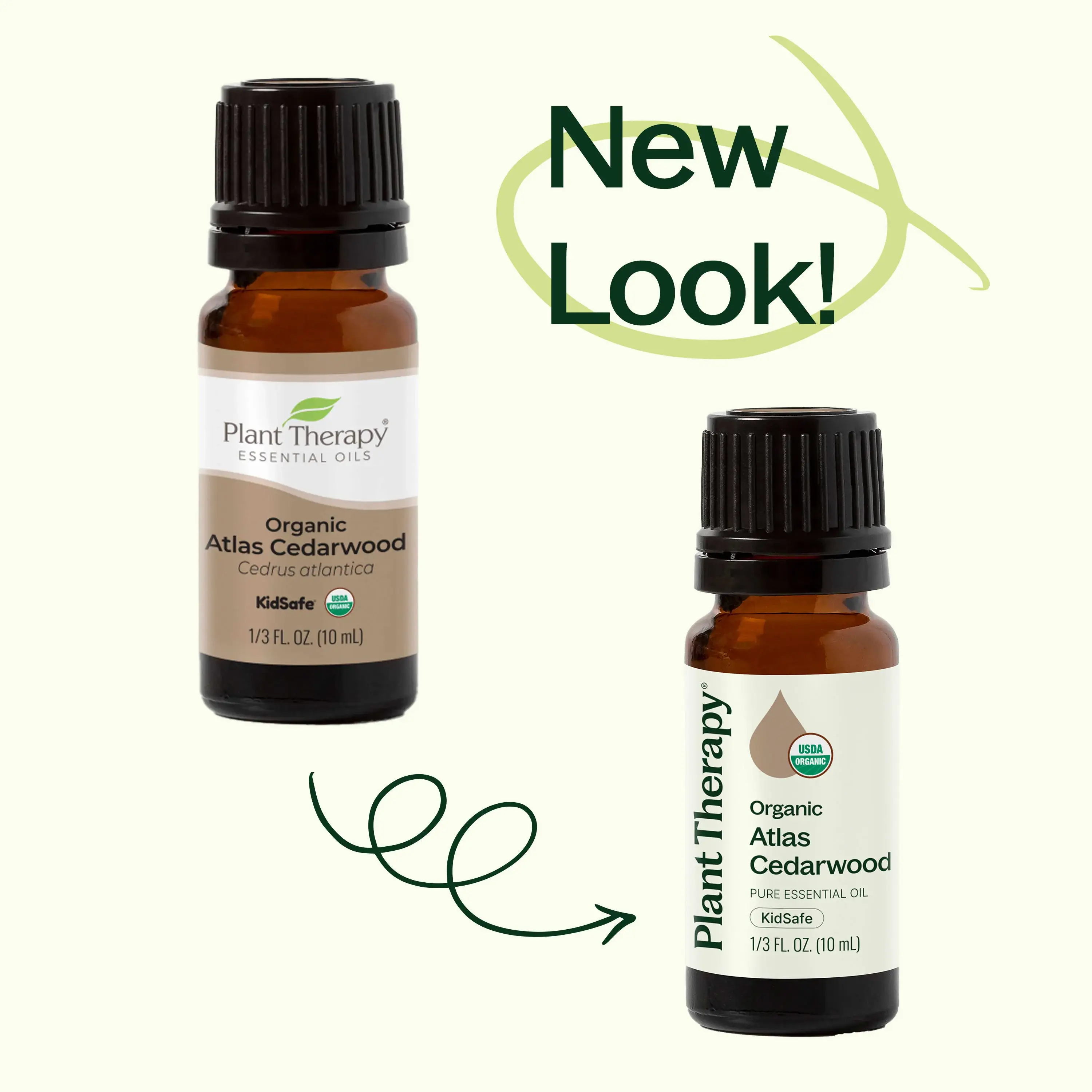 Plant Therapy - Wholesale Essential Oil - Organic Atlas Cedarwood Essential Oil 10 mL1