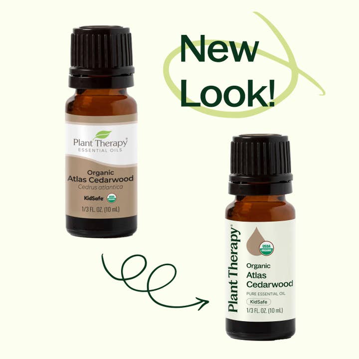 Plant Therapy - Wholesale Essential oil - Organic Atlas Cedarwood Essential Oil 10 mL1
