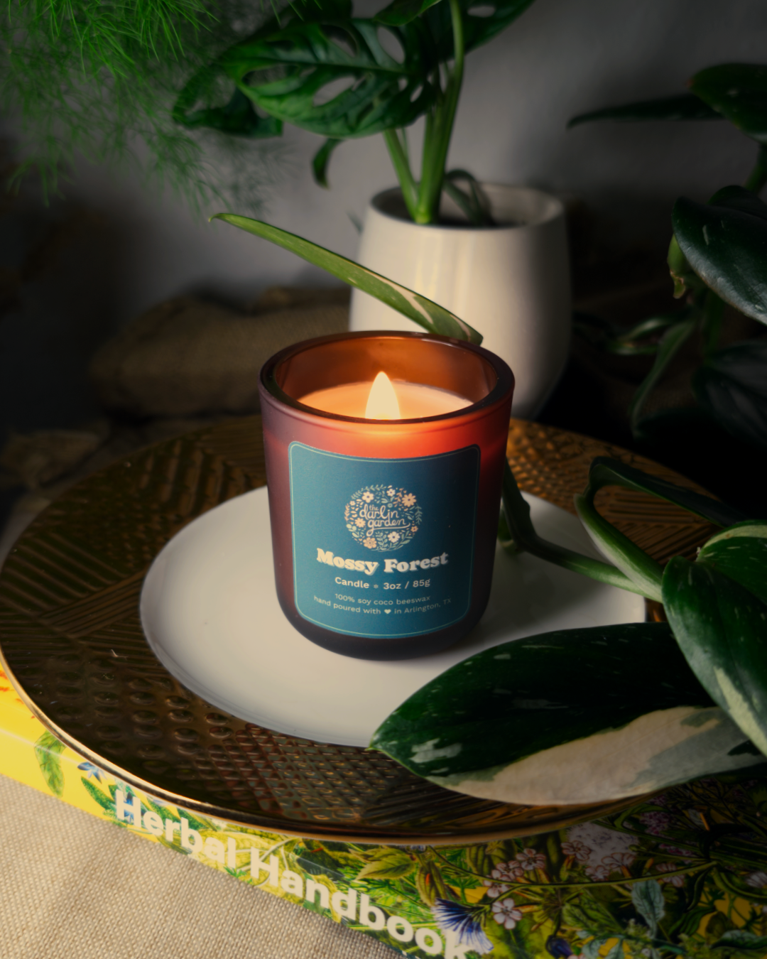 The Darlin' Garden - Wholesale Jar/Filled Candle - Mossy Forest Wood Wick Candle2