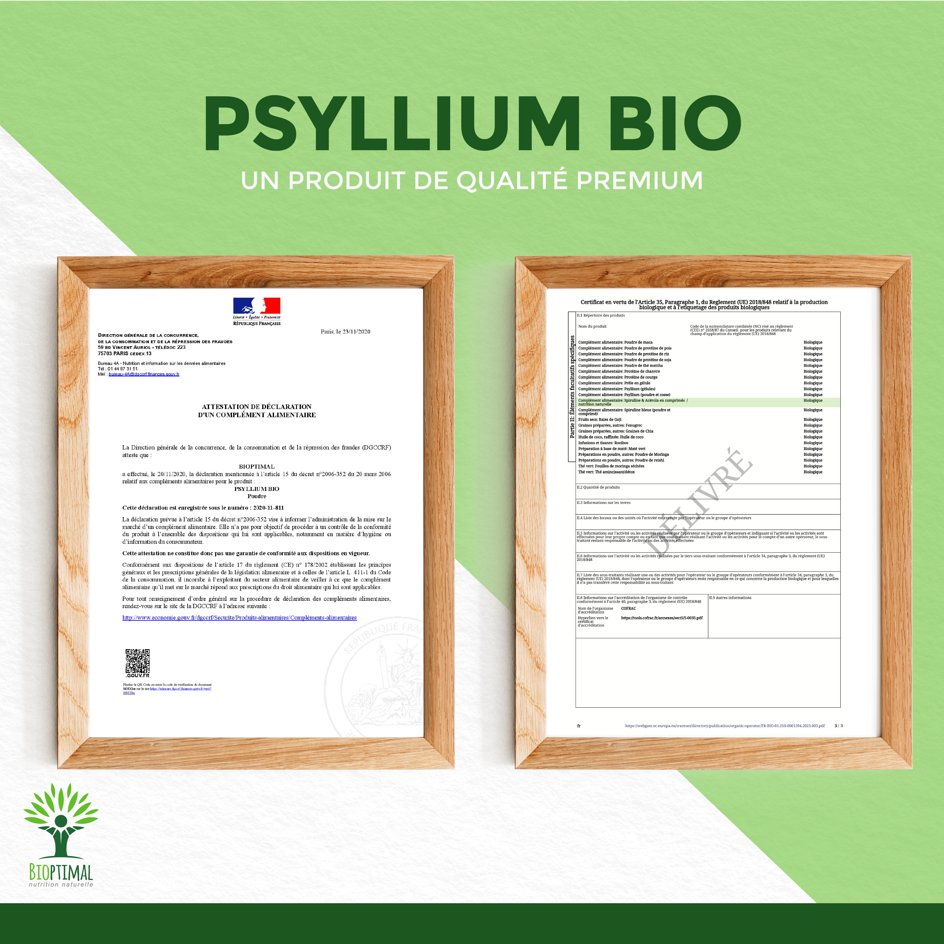Bioptimal - Vente Poudres protéinées/superaliments - Psyllium blond bio en poudre -Conditionné en France9