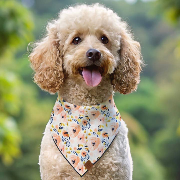 Floral Fido Dog Bandana for wholesale by Pretty posh pups