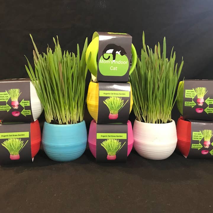 Mom’s Indoor Cat - Wholesale Pet Toy - Cat - Cat Grass Garden Balls
