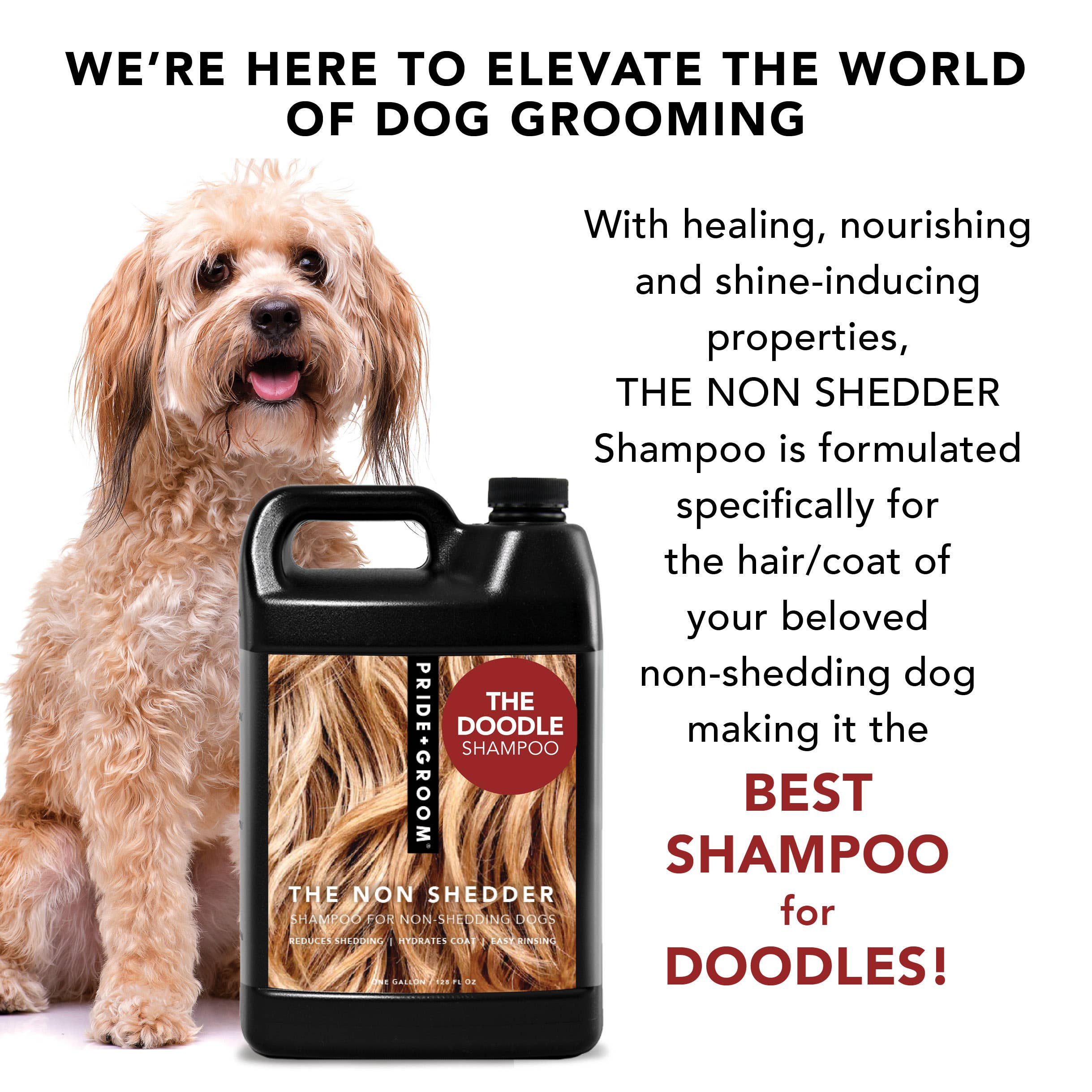 PRIDE+GROOM – Großhandel Haustiershampoo – Hund – DIE GALLONE, DIE NICHT FÜR DEN PROFESSIONELLEN GEBRAUCH GEEIGNET IST4