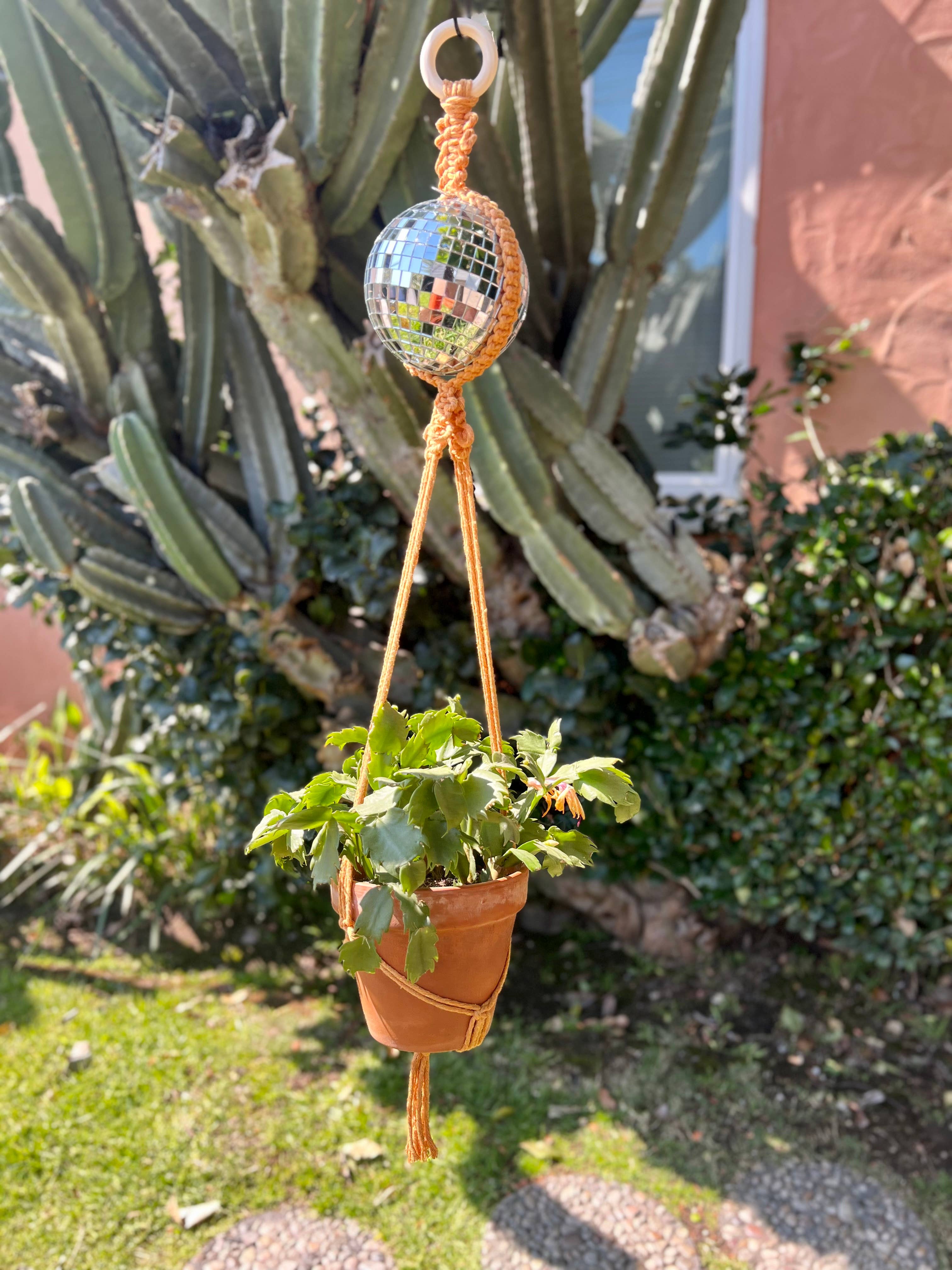 Dapper House Menagerie - Wholesale Hanging Planter - Disco Plant Hanger2