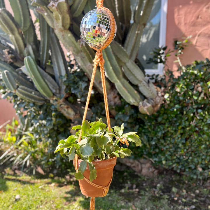 Dapper House Menagerie - Wholesale Hanging Planter - Disco Plant Hanger2