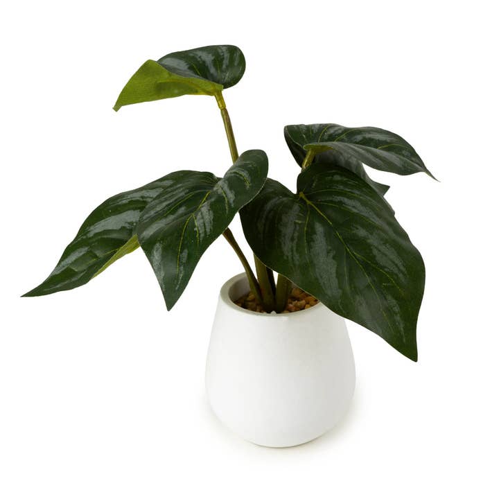 Alocasia Leaves in Cement Pot 4PK for wholesale by Candlelight Products Ltd