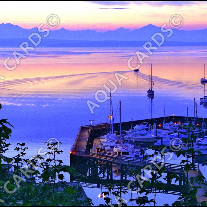 1218 - Sunday Sailing for wholesale by Aqua Cards