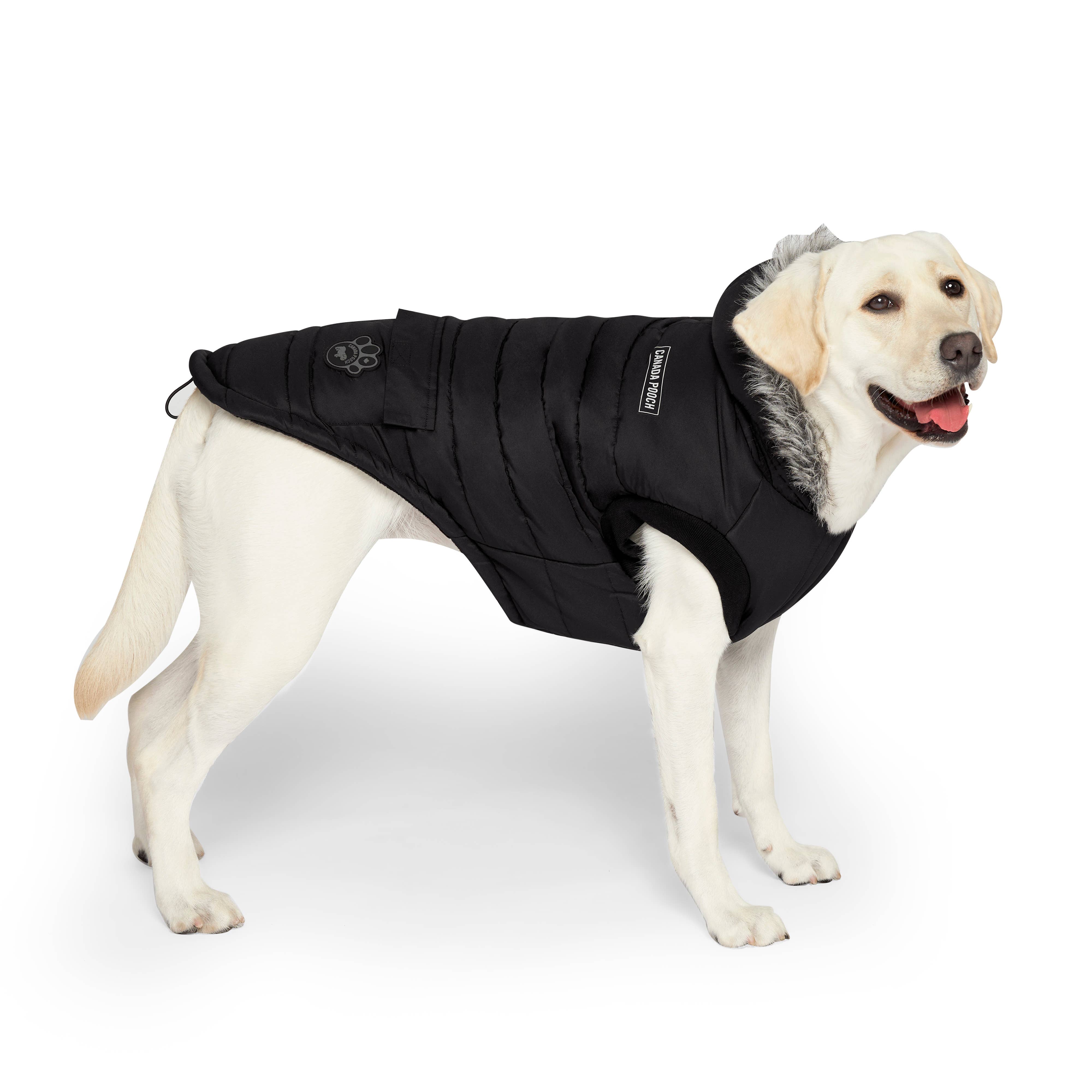 Canada Pooch - Vendita all'ingrosso Cappotto - Cani - Parka invernale True North per cani17