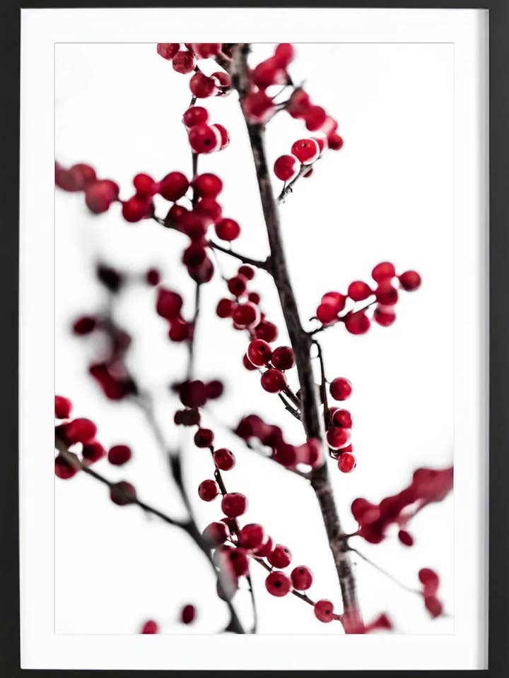 Röda bär 1 Premium inramad affisch för wholesale av JUNIQE