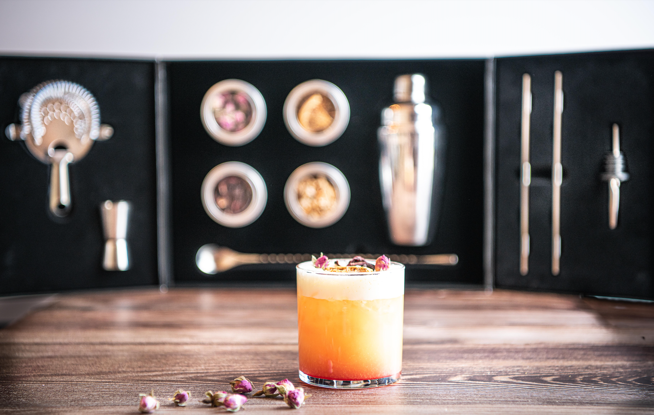 Drink Botanicals Ireland - Wholesale Bar Tool - The Expert Cocktail Fusion Kit1