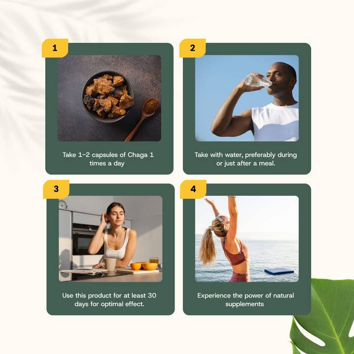 Cupplement b.v. - Wholesale Oral Supplement/Vitamin - Chaga Extract Capsules 400mg Organic 60 Capsules7