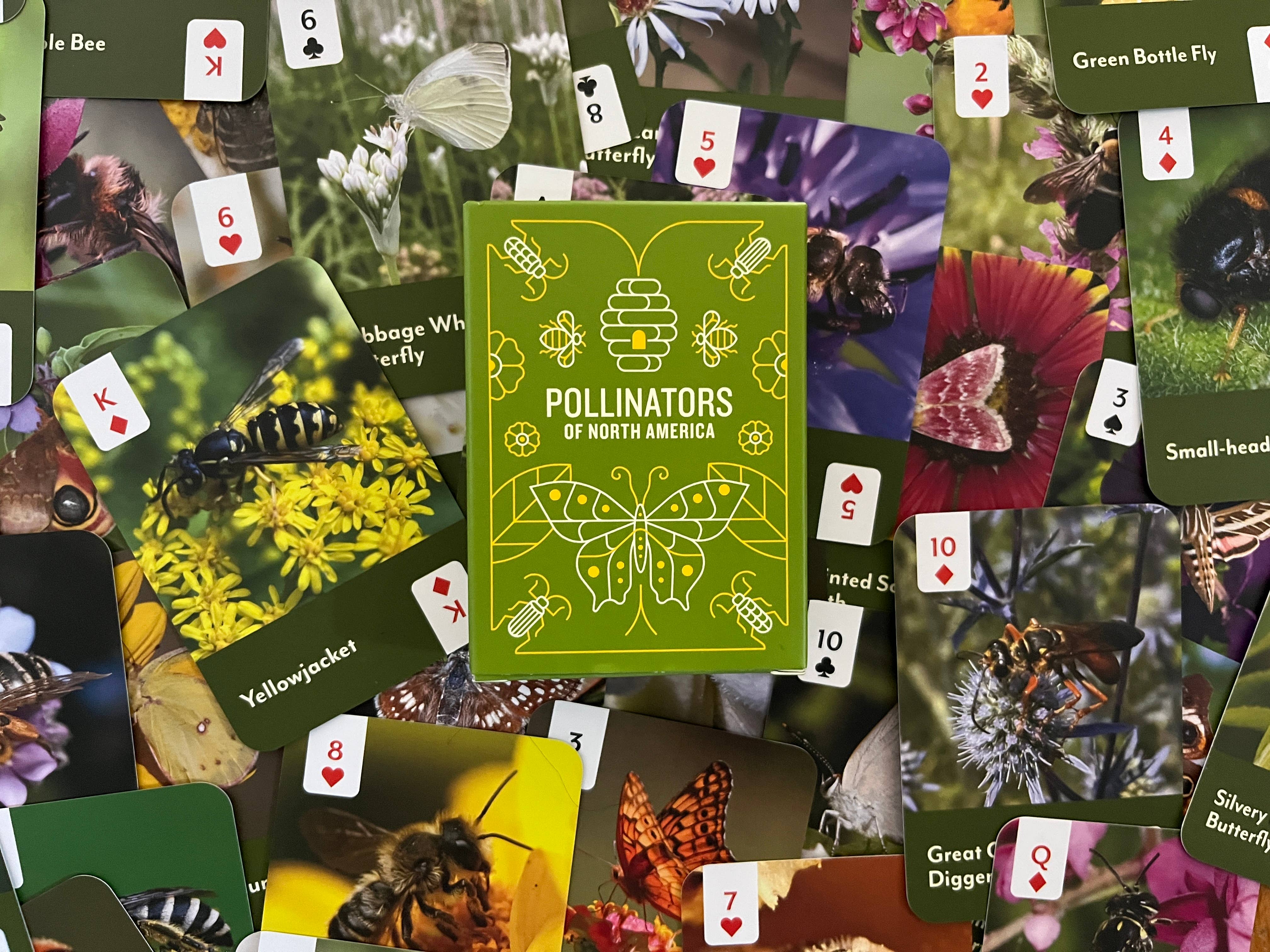 Mountaineers Books - Wholesale Playing Cards - Pollinators of North America Card Deck1