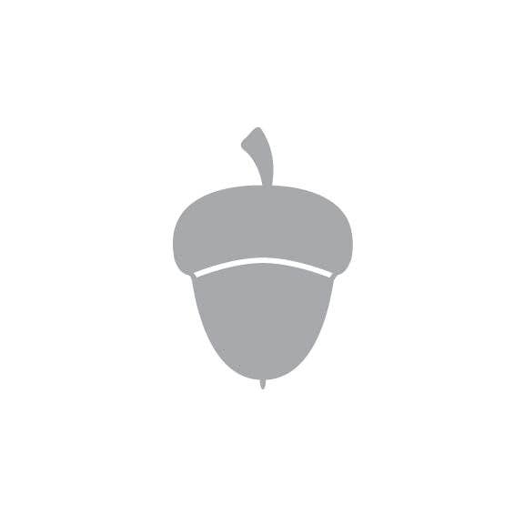 Artifacture - Wholesale Craft Supplies - Laser Cut Fall Themed Calligraphy Blanks (Paper)85