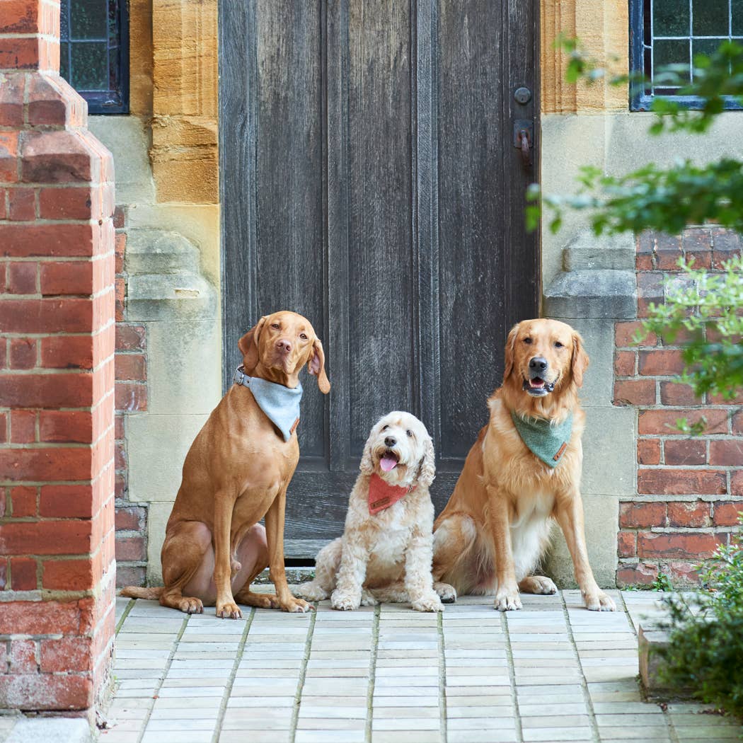 Sweet William Designs - Wholesale Pet Bandana - Dog - Bandana - Grey Tweed6