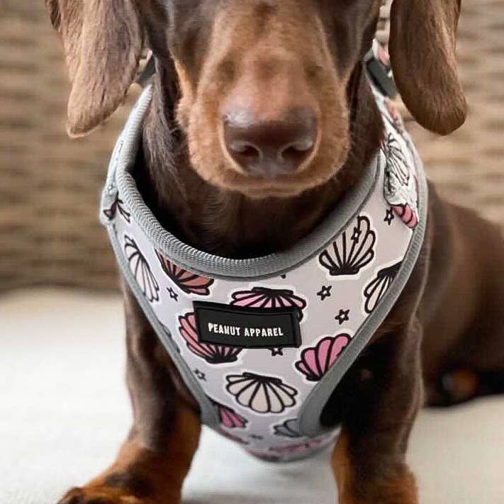 Shell Yeah - Adjustable harness for wholesale by Peanut Apparel