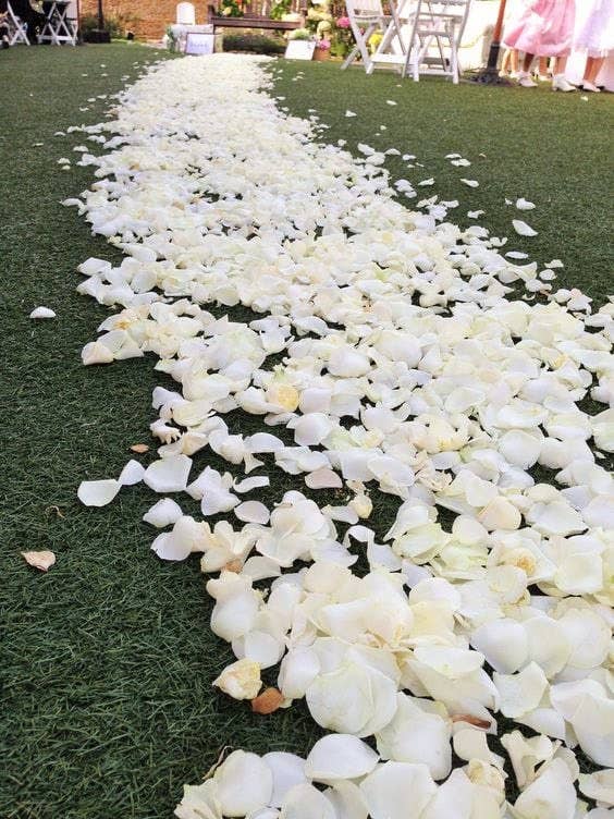 Flyboy Naturals Rose Petals - Wholesale Dried/pressed flowers - Bridal White/Ivory Freeze-Dried Rose Petals 30 Cups USA12