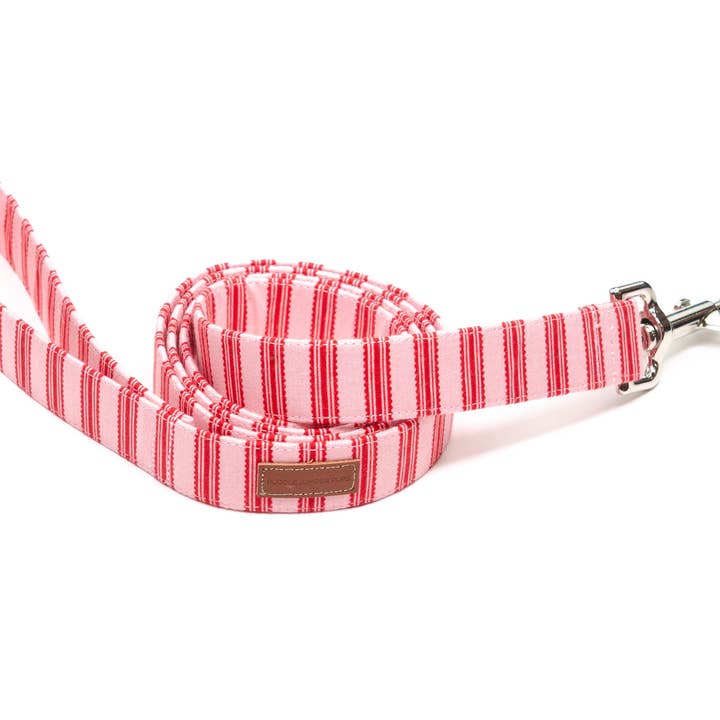 De Ellis Leash voor wholesale door Puddle Jumper Pups