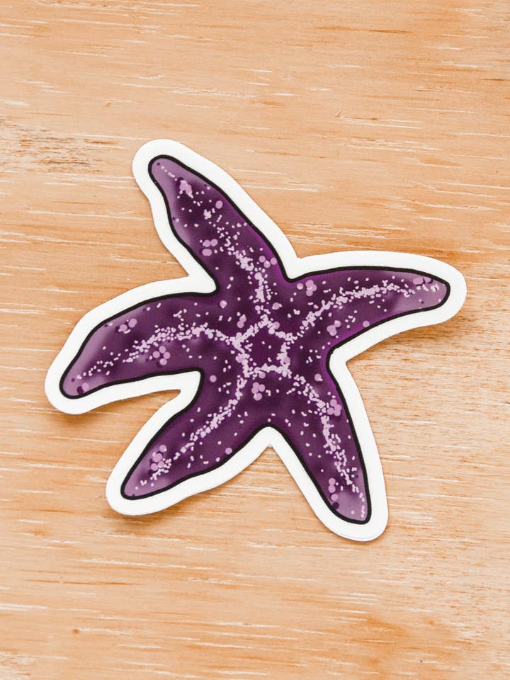 Waterproof Vinyl Sticker - Ocean Starfish for wholesale by K'oastal Mixed Media