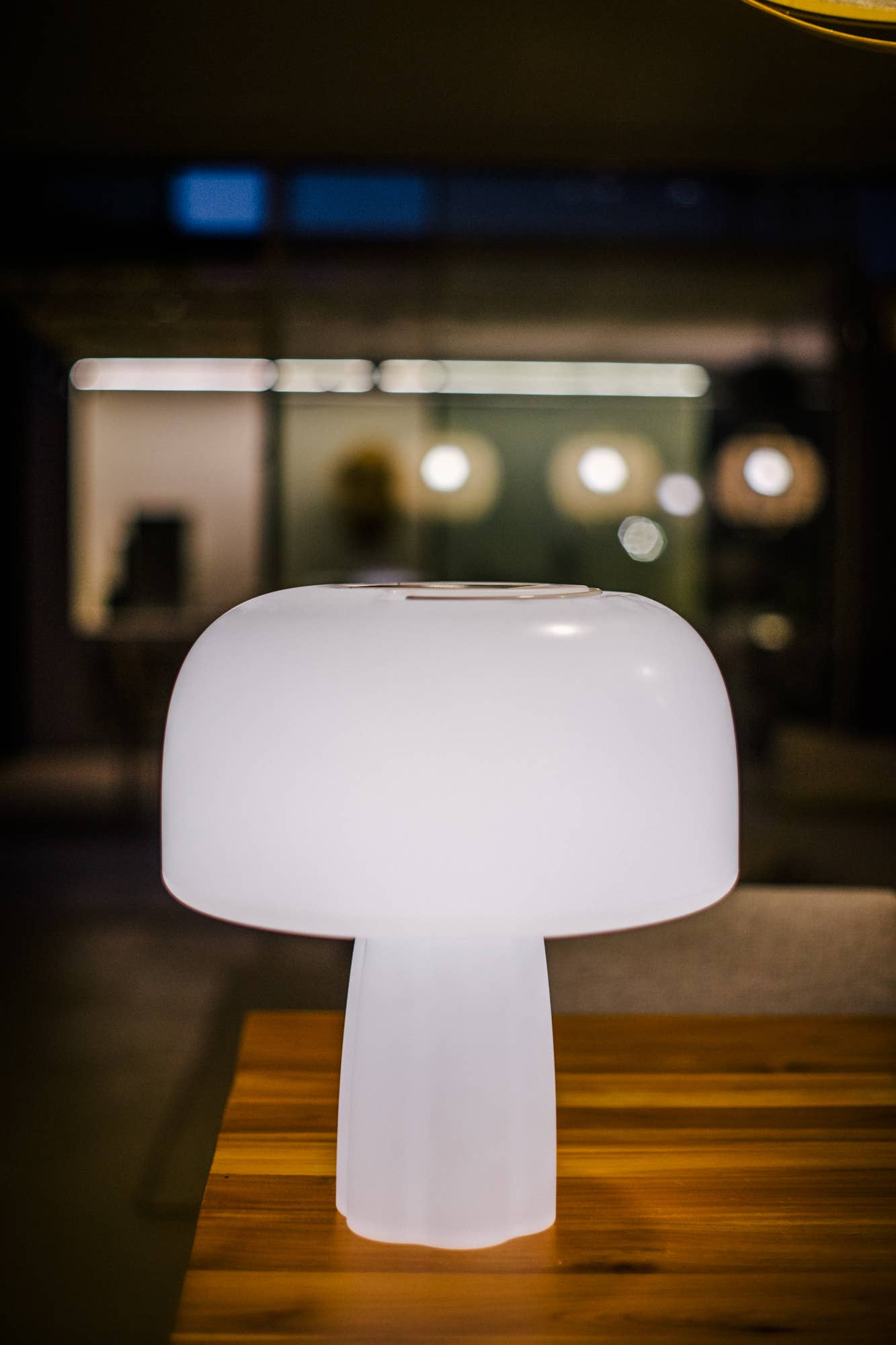 Goodnight Light - Wholesale Accent/Desk Lamp - The Boleti Lamp - Solar powered, portable lamp6