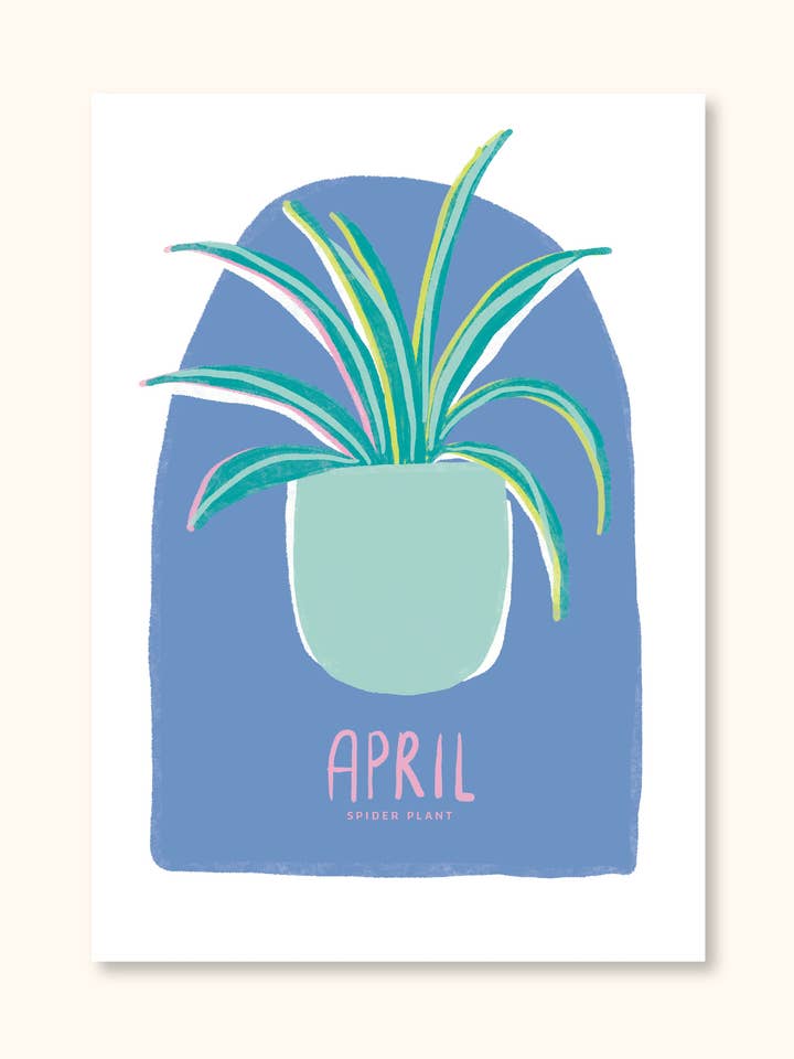 APRIL for wholesale by Palm House Studio