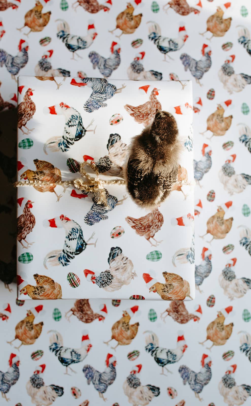 Lana's Shop - Wholesale Flat Wrap - Christmas Chickens in Santa Hats Single Sheet Gift Wrap7